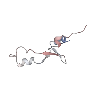 8641_5v7q_3_v1-3
Cryo-EM structure of the large ribosomal subunit from Mycobacterium tuberculosis bound with a potent linezolid analog