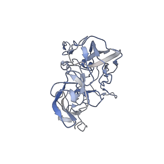 8641_5v7q_C_v1-3
Cryo-EM structure of the large ribosomal subunit from Mycobacterium tuberculosis bound with a potent linezolid analog