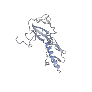 8641_5v7q_G_v1-3
Cryo-EM structure of the large ribosomal subunit from Mycobacterium tuberculosis bound with a potent linezolid analog