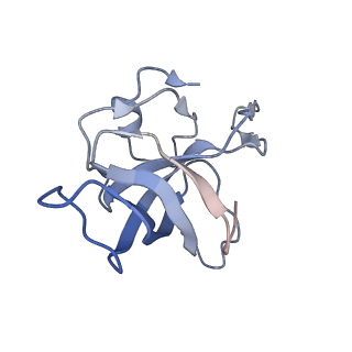 8641_5v7q_K_v1-3
Cryo-EM structure of the large ribosomal subunit from Mycobacterium tuberculosis bound with a potent linezolid analog