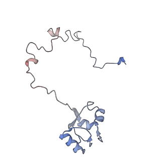 8641_5v7q_L_v1-3
Cryo-EM structure of the large ribosomal subunit from Mycobacterium tuberculosis bound with a potent linezolid analog