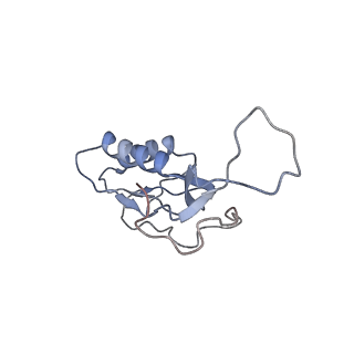 8641_5v7q_M_v1-2
Cryo-EM structure of the large ribosomal subunit from Mycobacterium tuberculosis bound with a potent linezolid analog