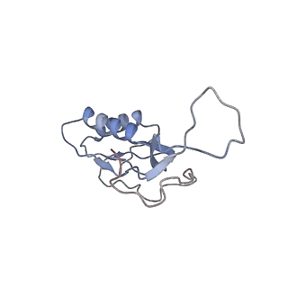 8641_5v7q_M_v1-3
Cryo-EM structure of the large ribosomal subunit from Mycobacterium tuberculosis bound with a potent linezolid analog