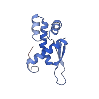 8641_5v7q_N_v1-3
Cryo-EM structure of the large ribosomal subunit from Mycobacterium tuberculosis bound with a potent linezolid analog