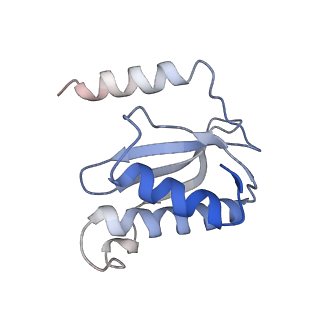 8641_5v7q_O_v1-3
Cryo-EM structure of the large ribosomal subunit from Mycobacterium tuberculosis bound with a potent linezolid analog