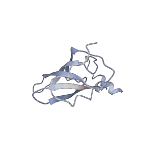 8641_5v7q_P_v1-3
Cryo-EM structure of the large ribosomal subunit from Mycobacterium tuberculosis bound with a potent linezolid analog