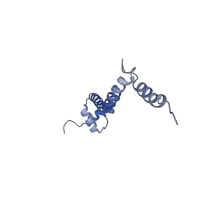 8641_5v7q_Q_v1-3
Cryo-EM structure of the large ribosomal subunit from Mycobacterium tuberculosis bound with a potent linezolid analog