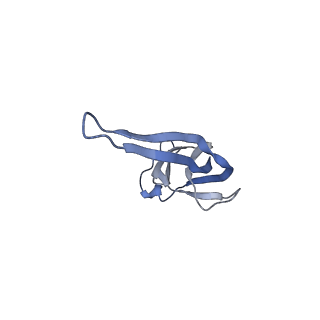 8641_5v7q_R_v1-3
Cryo-EM structure of the large ribosomal subunit from Mycobacterium tuberculosis bound with a potent linezolid analog