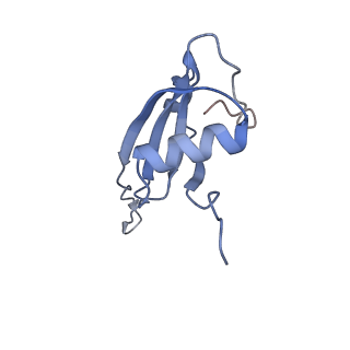 8641_5v7q_T_v1-3
Cryo-EM structure of the large ribosomal subunit from Mycobacterium tuberculosis bound with a potent linezolid analog