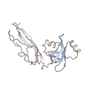 8641_5v7q_V_v1-3
Cryo-EM structure of the large ribosomal subunit from Mycobacterium tuberculosis bound with a potent linezolid analog