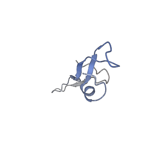 8641_5v7q_X_v1-3
Cryo-EM structure of the large ribosomal subunit from Mycobacterium tuberculosis bound with a potent linezolid analog