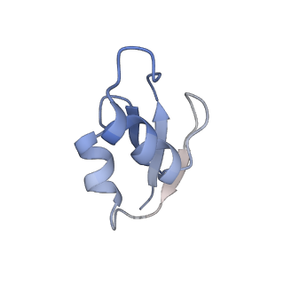 8641_5v7q_Z_v1-3
Cryo-EM structure of the large ribosomal subunit from Mycobacterium tuberculosis bound with a potent linezolid analog