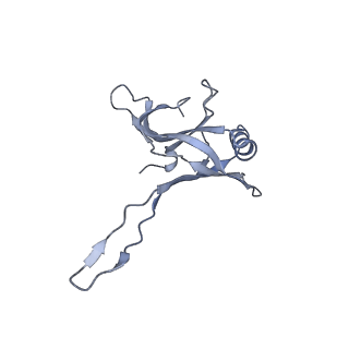 20872_6v8i_AA_v1-1
Composite atomic model of the Staphylococcus aureus phage 80alpha baseplate