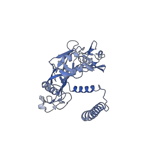 20872_6v8i_AE_v1-0
Composite atomic model of the Staphylococcus aureus phage 80alpha baseplate