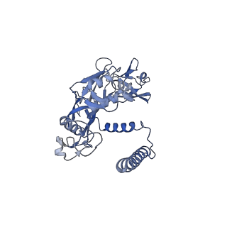 20872_6v8i_AE_v1-1
Composite atomic model of the Staphylococcus aureus phage 80alpha baseplate