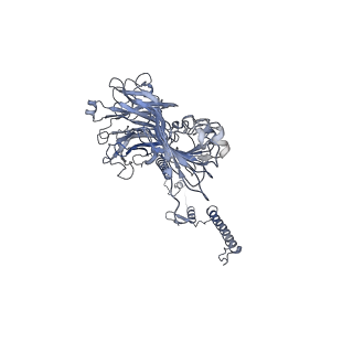 20872_6v8i_AG_v1-0
Composite atomic model of the Staphylococcus aureus phage 80alpha baseplate