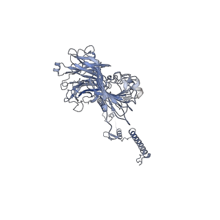 20872_6v8i_AG_v1-1
Composite atomic model of the Staphylococcus aureus phage 80alpha baseplate