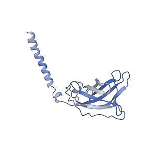 20872_6v8i_AJ_v1-1
Composite atomic model of the Staphylococcus aureus phage 80alpha baseplate