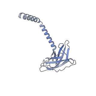 20872_6v8i_AK_v1-1
Composite atomic model of the Staphylococcus aureus phage 80alpha baseplate