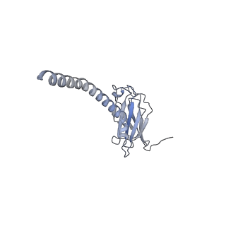 20872_6v8i_AL_v1-0
Composite atomic model of the Staphylococcus aureus phage 80alpha baseplate