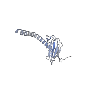 20872_6v8i_AL_v1-1
Composite atomic model of the Staphylococcus aureus phage 80alpha baseplate