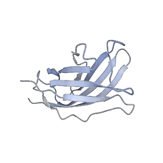 20872_6v8i_AM_v1-1
Composite atomic model of the Staphylococcus aureus phage 80alpha baseplate