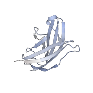 20872_6v8i_AN_v1-1
Composite atomic model of the Staphylococcus aureus phage 80alpha baseplate