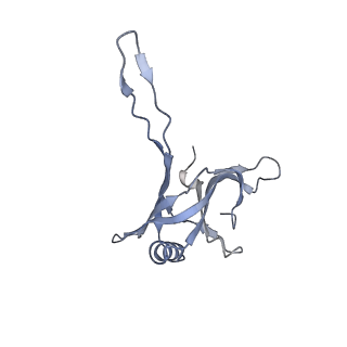 20872_6v8i_BA_v1-0
Composite atomic model of the Staphylococcus aureus phage 80alpha baseplate