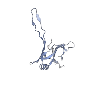 20872_6v8i_BA_v1-1
Composite atomic model of the Staphylococcus aureus phage 80alpha baseplate