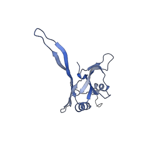 20872_6v8i_BB_v1-0
Composite atomic model of the Staphylococcus aureus phage 80alpha baseplate