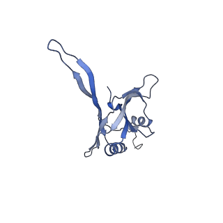 20872_6v8i_BB_v1-1
Composite atomic model of the Staphylococcus aureus phage 80alpha baseplate