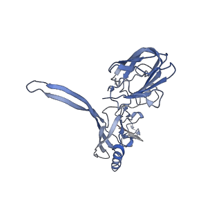 20872_6v8i_BC_v1-0
Composite atomic model of the Staphylococcus aureus phage 80alpha baseplate