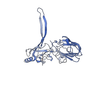 20872_6v8i_BD_v1-0
Composite atomic model of the Staphylococcus aureus phage 80alpha baseplate