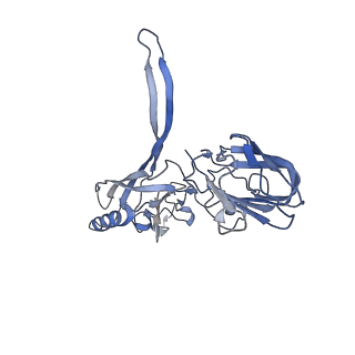 20872_6v8i_BD_v1-1
Composite atomic model of the Staphylococcus aureus phage 80alpha baseplate