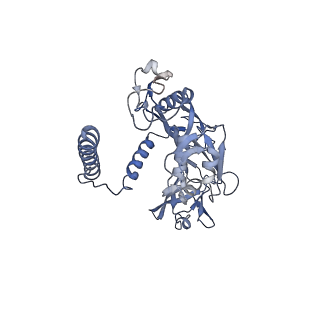 20872_6v8i_BE_v1-0
Composite atomic model of the Staphylococcus aureus phage 80alpha baseplate