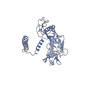 20872_6v8i_BE_v1-1
Composite atomic model of the Staphylococcus aureus phage 80alpha baseplate