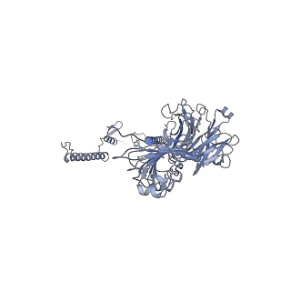20872_6v8i_BG_v1-0
Composite atomic model of the Staphylococcus aureus phage 80alpha baseplate