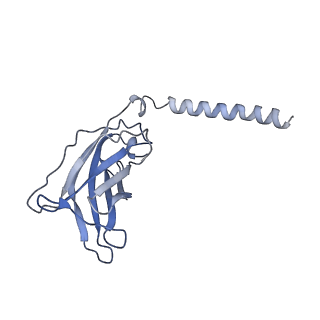 20872_6v8i_BJ_v1-1
Composite atomic model of the Staphylococcus aureus phage 80alpha baseplate