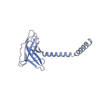 20872_6v8i_BK_v1-1
Composite atomic model of the Staphylococcus aureus phage 80alpha baseplate