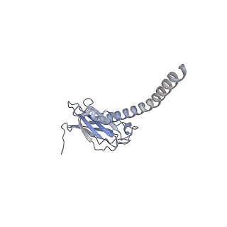 20872_6v8i_BL_v1-0
Composite atomic model of the Staphylococcus aureus phage 80alpha baseplate
