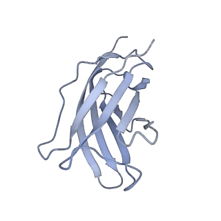 20872_6v8i_BM_v1-0
Composite atomic model of the Staphylococcus aureus phage 80alpha baseplate