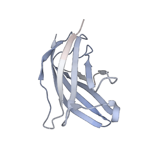 20872_6v8i_BN_v1-1
Composite atomic model of the Staphylococcus aureus phage 80alpha baseplate