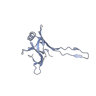20872_6v8i_CA_v1-0
Composite atomic model of the Staphylococcus aureus phage 80alpha baseplate