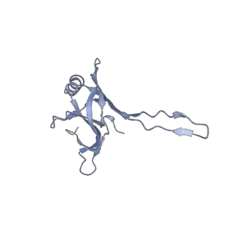 20872_6v8i_CA_v1-1
Composite atomic model of the Staphylococcus aureus phage 80alpha baseplate