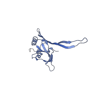 20872_6v8i_CB_v1-0
Composite atomic model of the Staphylococcus aureus phage 80alpha baseplate