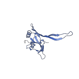 20872_6v8i_CB_v1-1
Composite atomic model of the Staphylococcus aureus phage 80alpha baseplate