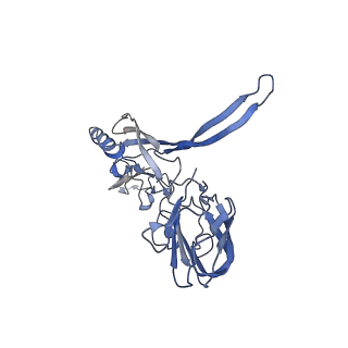 20872_6v8i_CC_v1-1
Composite atomic model of the Staphylococcus aureus phage 80alpha baseplate