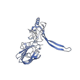 20872_6v8i_CD_v1-0
Composite atomic model of the Staphylococcus aureus phage 80alpha baseplate