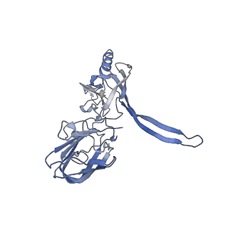 20872_6v8i_CD_v1-1
Composite atomic model of the Staphylococcus aureus phage 80alpha baseplate