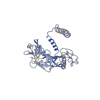 20872_6v8i_CE_v1-0
Composite atomic model of the Staphylococcus aureus phage 80alpha baseplate